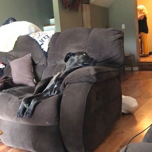 Meet your Posher, Ben